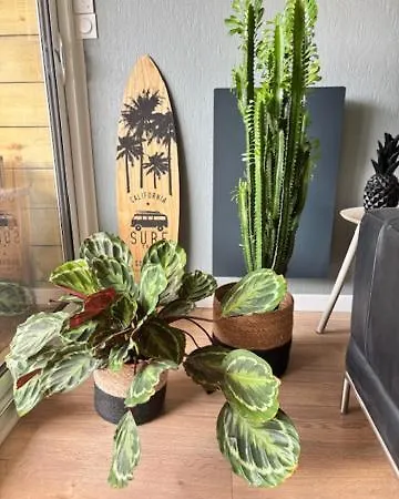 Maison Familiale 3 - Jardin Clos Bbq Linge Inclus - Entre Caen & La - Parking - Arrivee Autonome - Professionnels Bienvenus