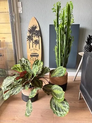 Maison Familiale 3 - Jardin Clos Bbq Linge Inclus - Entre Caen & La - Parking - Arrivee Autonome - Professionnels Bienvenus